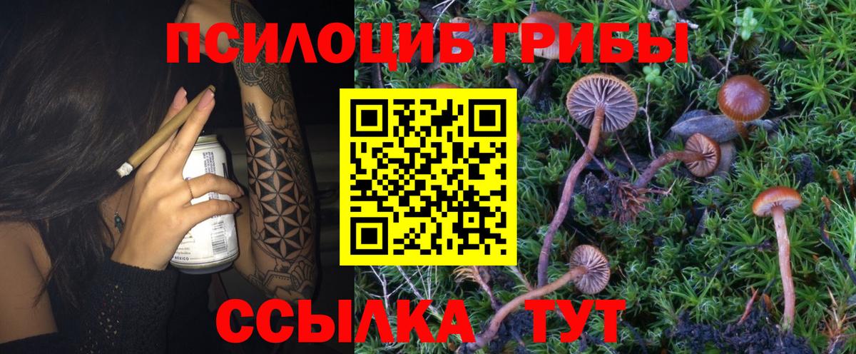 Псилоцибиновые грибы ЛСД  Вход с VPN  Улан-Удэ 