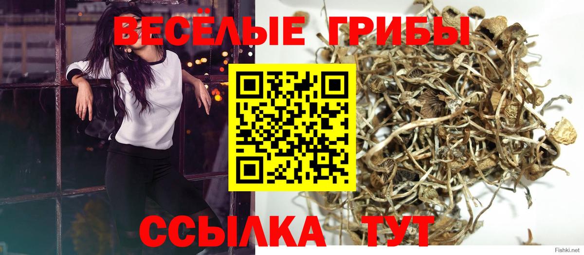 Псилоцибиновые грибы MAGIC MUSHROOMS Улан-Удэ